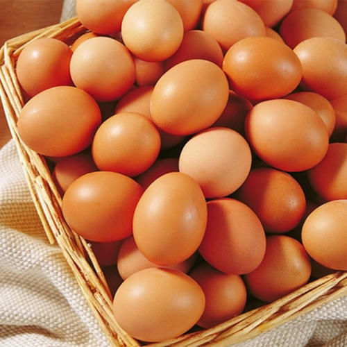 自然界|长寿老人爱吃3种食物，补充营养，延缓衰老，谁吃谁受益！