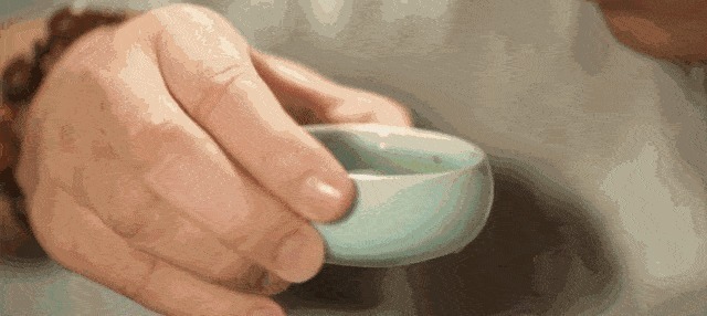 小叶苦丁|一旦查出血压高,少碰二白,改掉三习,做好四事,稳定血压少生病