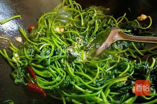 味碟|它被称为“蔬菜皇后”，胡萝卜素是芋头的600多倍，只卖2块一斤