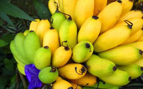 神经疲劳|年轻女性吃的食物，坚持多吃，排毒消脂，促进排毒素，人体不显老