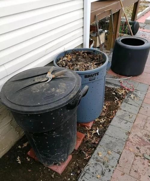 内脏|冬天养花埋点它，开春就疯长，1年不施肥一样绿油油！