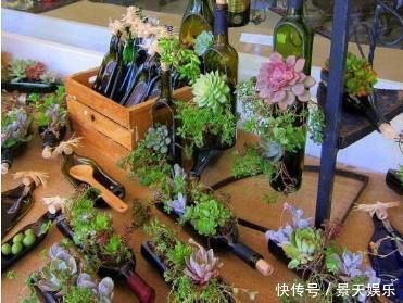 养花不用买花盆,这些生活中的废料用来养花,比花盆还好看