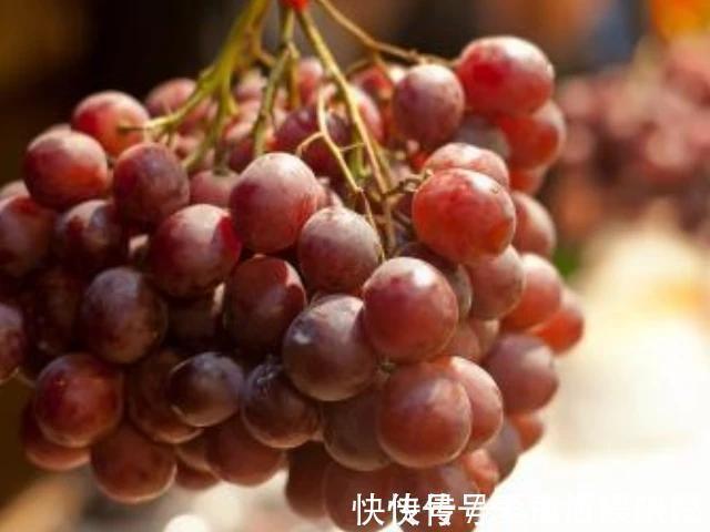 胎儿|女人怀孕后,尽量多吃4种常见食物,益智安胎,宝宝更出生后聪明