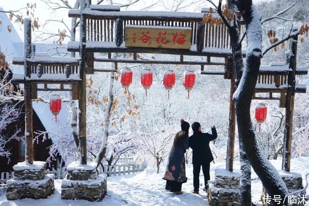 心动的感jio !！临沭绝美雪景大片，如诗如画