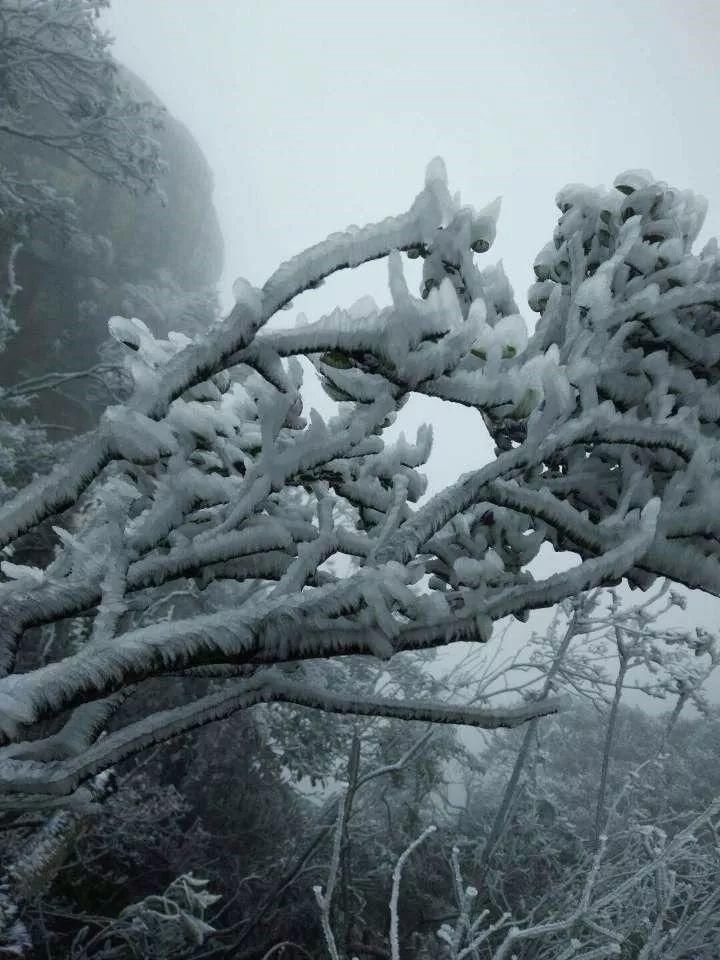 好汉|和平仙女石下雪了，好汉顶与缺牙山的雪还在路上？？