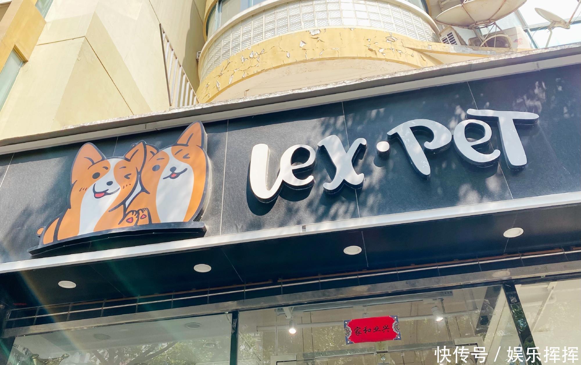 lex被封杀后过得如何?步入“社会底层”,宠物店也关门转让!