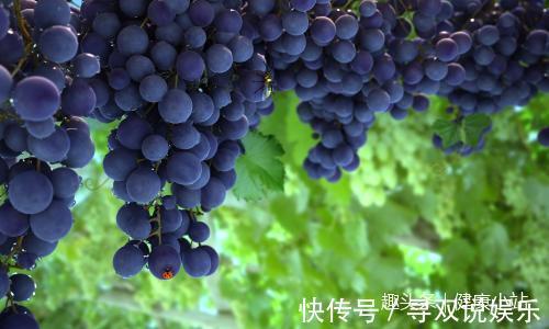 子宫|女人过了30岁,那“三黑”食物要常吃,美白养颜,保护子宫