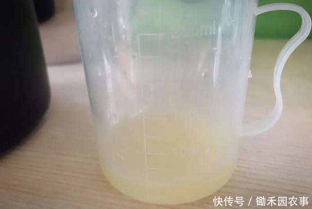 食物中毒|食物中毒离我们并不遥远,除了酸汤子,这7种食品也能变“杀手”