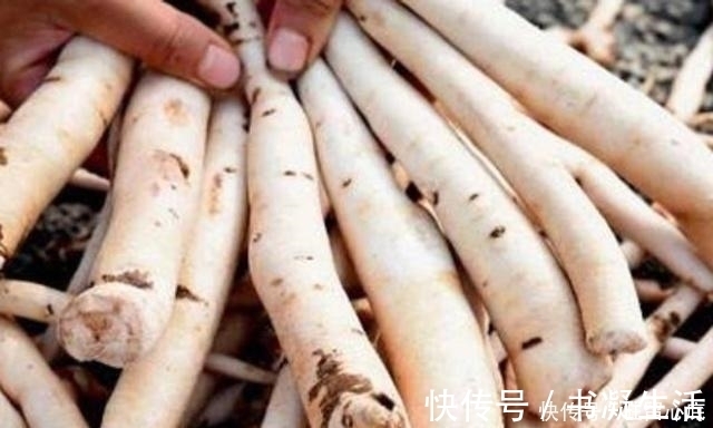 月经不调|女性在经期3天前，4物多泡水，排湿气，预防炎症