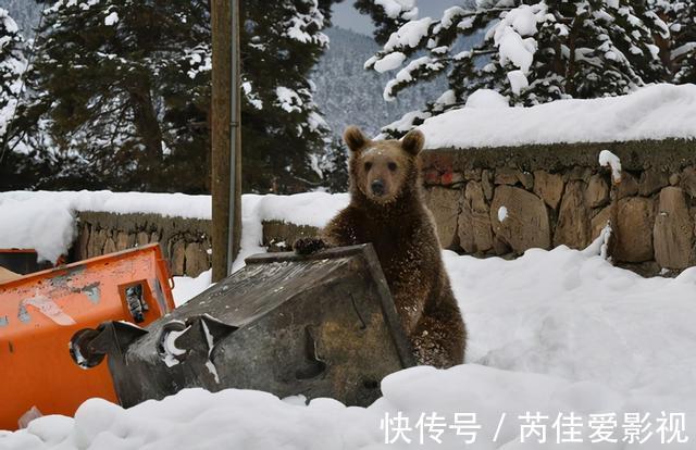 开心果|孩子若是有这几种“节俭”举动，未来容易没出息，家长别再偷着乐