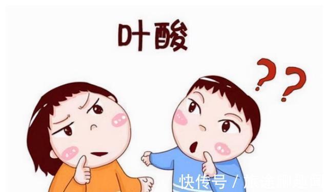 营养物质|叶酸你补对了吗?这5类女性备孕时要注意