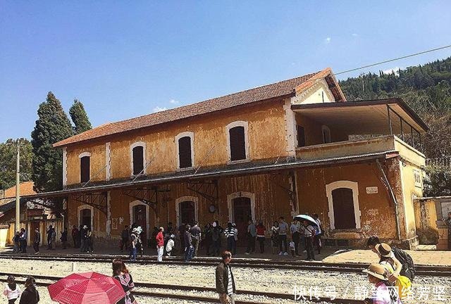 轻松|老师一不高兴就开骂,整个学期只讲半篇文章,学生却能轻松上哈佛