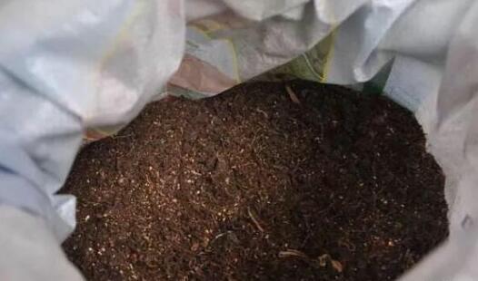 搞来的养花土,少做这一步,养什么花都活不了