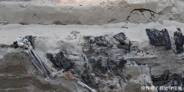 中蒙历时3年合作发掘神秘大墓:人骨趴在棺椁上,谷物垫在棺材里