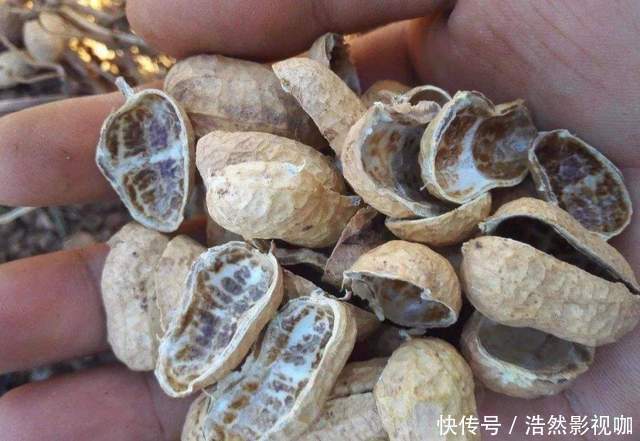 春节常见的3种“垃圾”是养花的好东西，家里有养花草不要浪费了