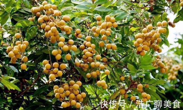 喝水|湿气不除百病生,喝水时泡一物,半月下来,散寒祛湿,手脚不冰凉