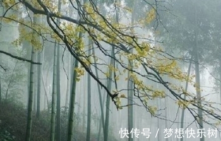 浣女@唐朝状元很清新的一首诗,开篇就是千古名句,美得令人心醉