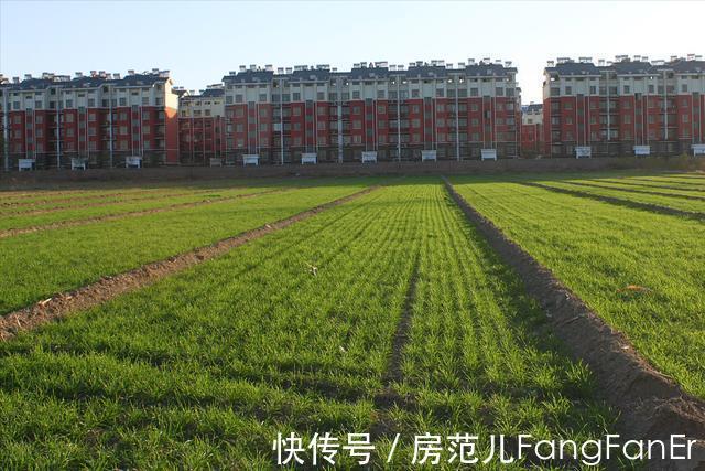 楼市|未来5-10年,买房认准“3选3不选”,不仅住得舒服,还容易转手