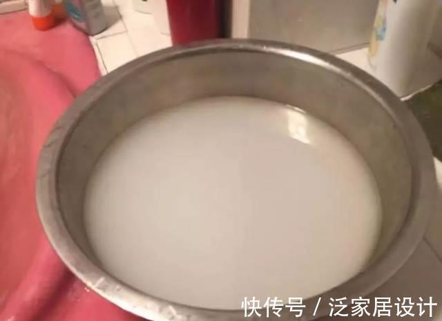 养护|厨房里哪些东西是虎皮兰喜欢的，可在盆栽期间用上？