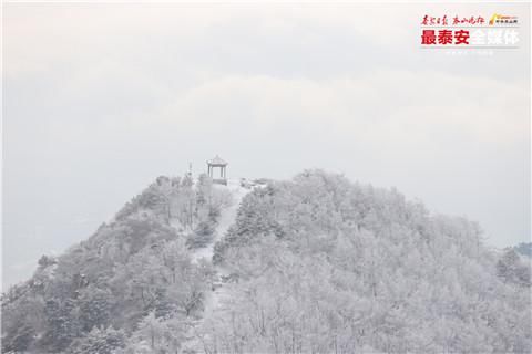 雪霁初晴 泰山之巅风光无限好