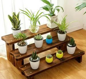 阳台|阳台养花如何搭花架?老花农是这样做的,美观也不影响花花生长