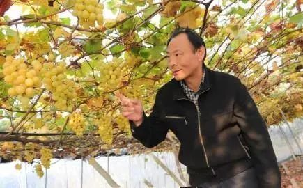 2021央视春晚的大屏上,现了一位镇江人的身影