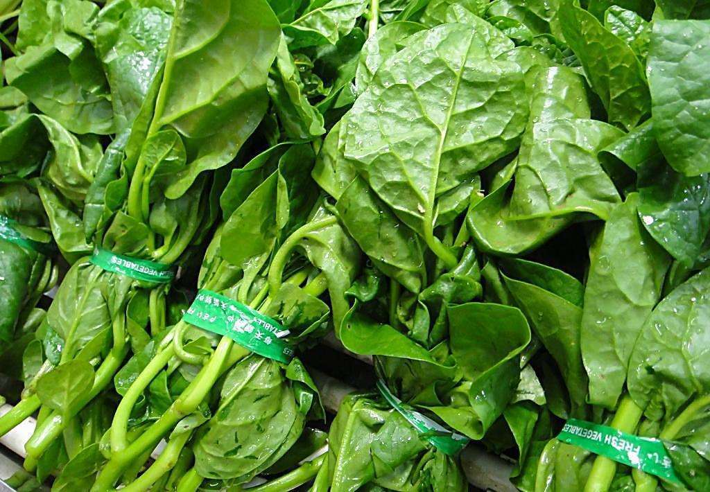 清热解毒|到了立秋,体内还有湿气它是“祛湿之王”,排毒祛湿,滋补气血