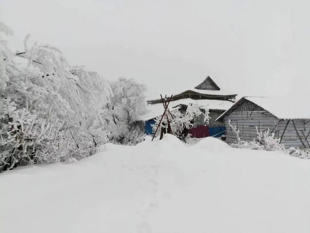 地方|汶川下雪了！这些地方，你最想去哪个？