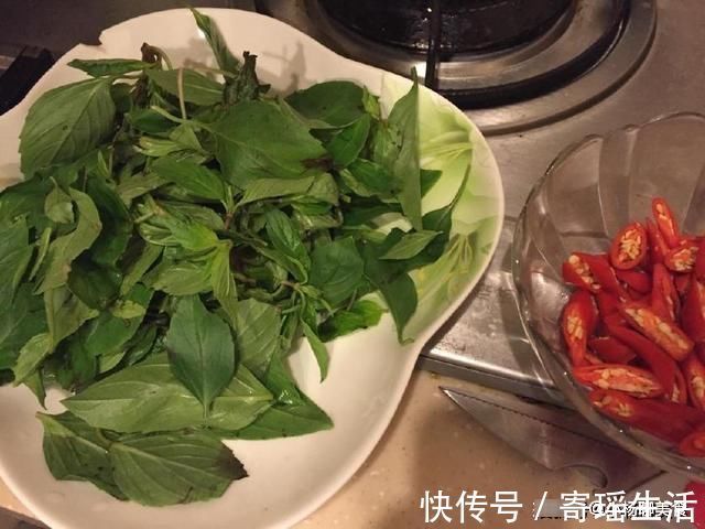 紫皮茄子|茄子别只会炒着吃!这样做美味提升10倍,简单方便,一学就会