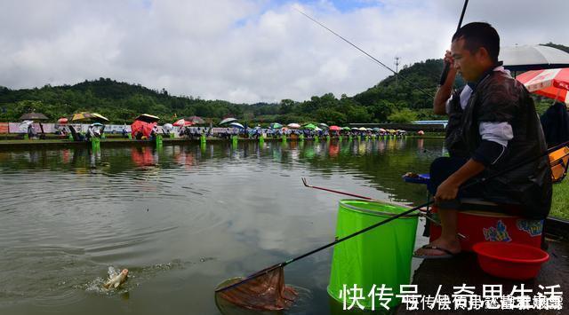 钓鱼|钓鱼时放药酒效果很好，但用错了反而死窝，几个技巧让你钓好鱼