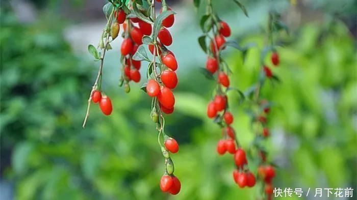 黄鹤楼&中国历史上影响最大的10首诗,惊艳千古,中国人必读古典文学与诗词今天