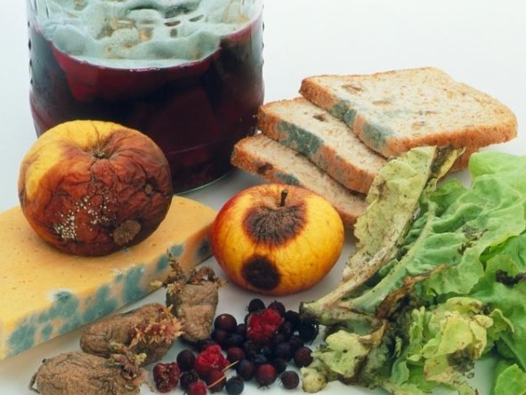 养肝|养肝冠军找到了,不是枸杞,平日里铆足劲吃,肝1天比1天干净