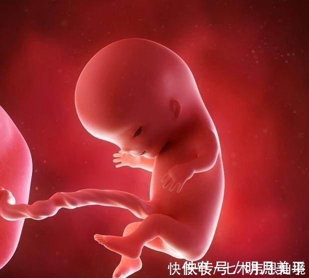 怀孕|四维做到一半,小家伙竟然在妈妈腹中干“坏事”,连医生都乐了