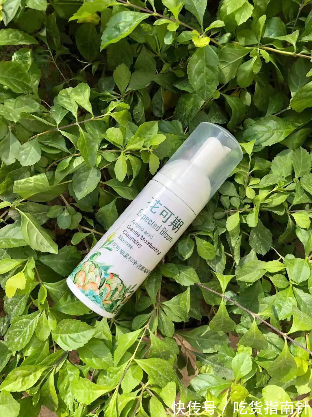 乳酸杆菌|祛痘洗面奶哪个好,好用的祛痘洗面奶,肌肤精彩,活出美丽