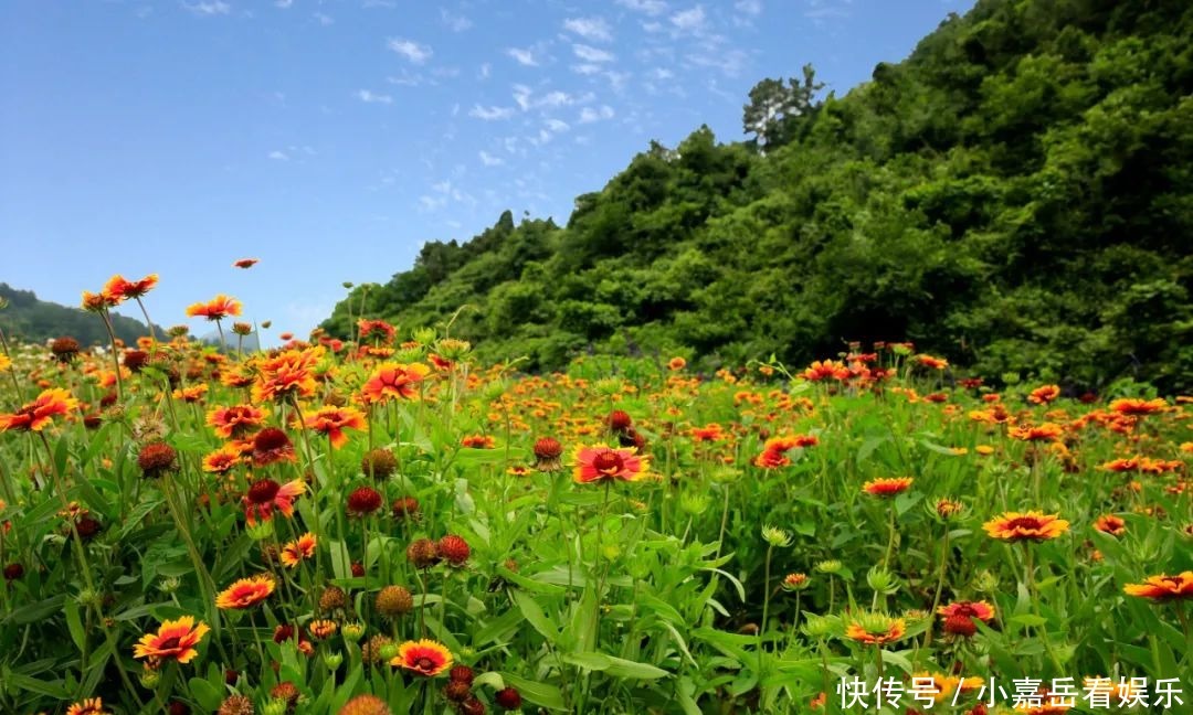 素颜的武陵山大裂谷，竟然这么好看！