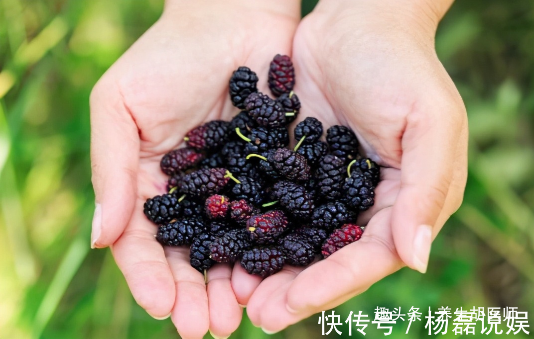 保肝护肝|人到中年，推荐常吃三种食物，能养肝明目，提高自身免疫力