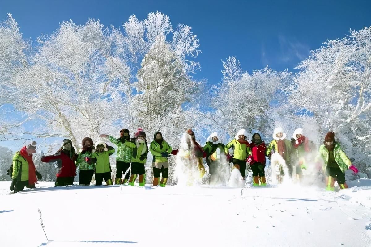 遇见|冬天去哪儿玩？一路向北，遇见最美的“哈亚雪”