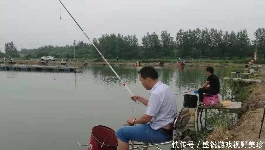 水草|老司机不会告诉你,夏钓鲤鱼一旦用这3招,天气再热也照样连竿!