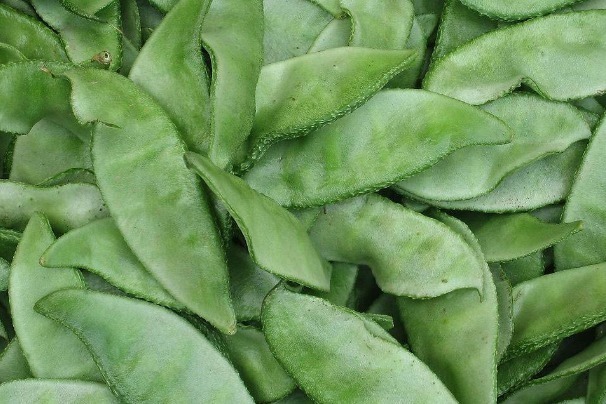 蔬菜|4种蔬菜吃得时候要注意,很多人不在意,其实早被列为致癌名单