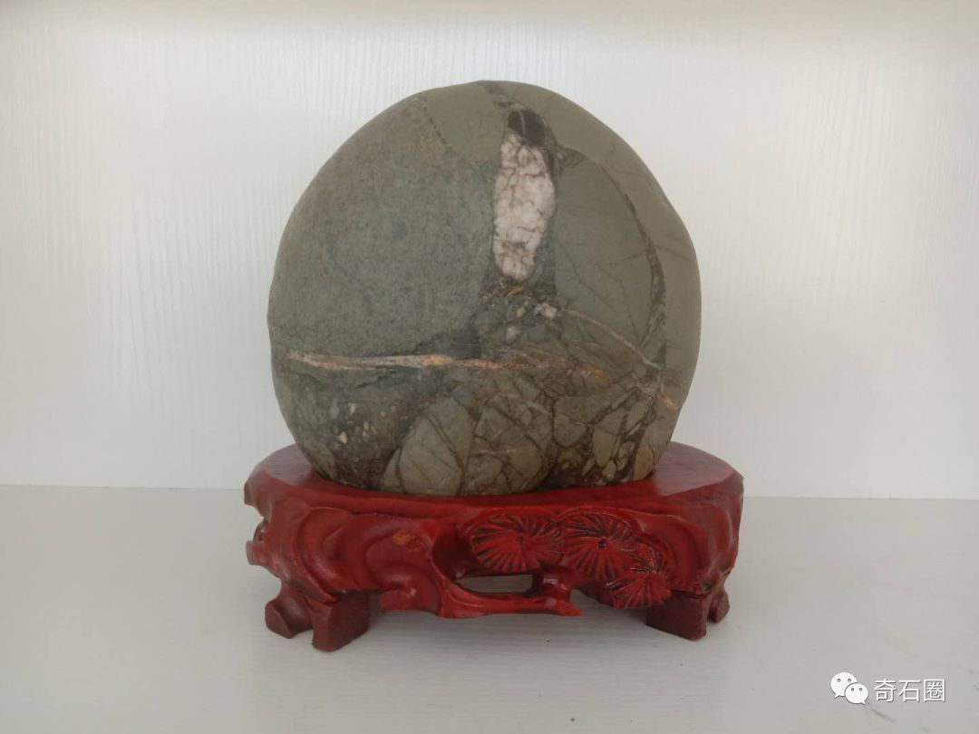 石头|金沙江边的康巴汉子捡了8年石头,摆满了一屋