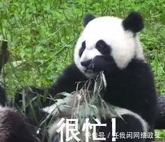 央视教你写文案,《如果国宝会说话》好绝!