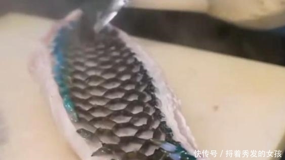 印度人|看看印度人如何吃鱼?20斤的草鱼,动刀第一步就让人大开眼界