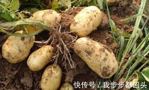 肉毒杆菌|营养师苦劝：4种食物不能二次加热，别把一家人的健康当耳旁风