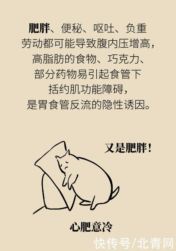 养胃|喝稀饭能养胃?警惕胃酸反流胃更烧