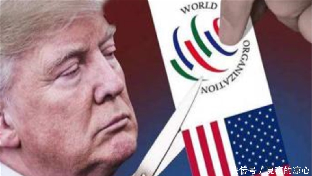 WTO|绕开美国“另起炉灶”！17国提议成立“新WTO”，主动邀请中方“加盟”！