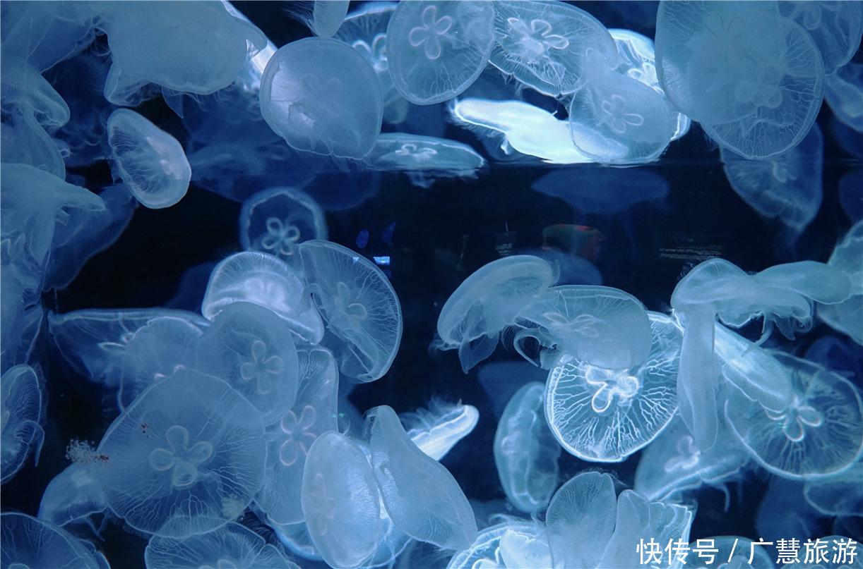 日照一日游吃海鲜住宿游玩攻略,各项信息超齐全做好攻略没毛病