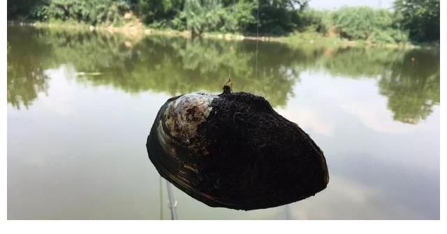 除了钓不到鱼，啥都能钓到！盘点那些年钓到过的奇葩物