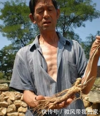 刘大哥|刘师傅上山摘野果,无意间发现了宝贝,让他高兴不已