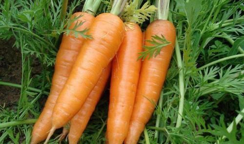 胃不太好的，牢记多吃1白，少吃3红，修复胃黏膜，肠胃更健康