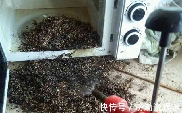 杀菌|养花上盆前，记得“多做一步”，不然“招虫子”，还烂根！